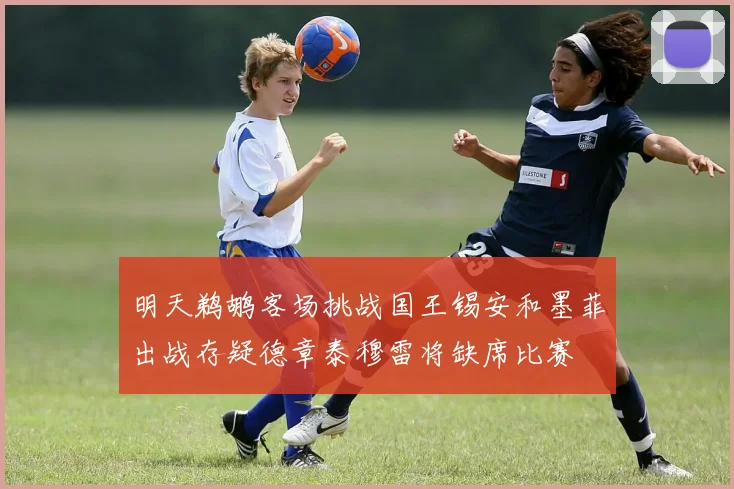 明天鹈鹕客场挑战国王锡安和墨菲出战存疑德章泰穆雷将缺席比赛