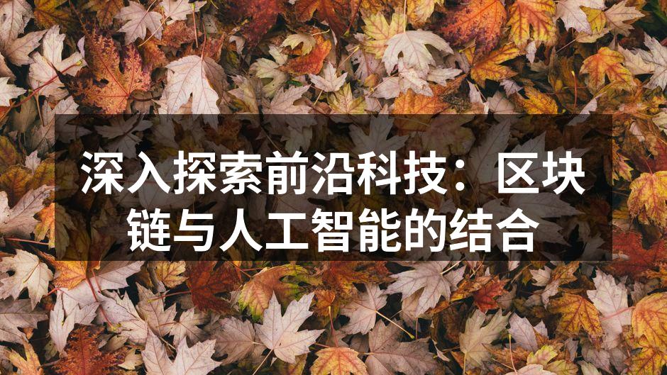 深入探索前沿科技:区块链与人工智能的结合