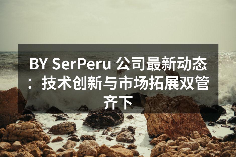 BY SerPeru 公司最新动态:技术